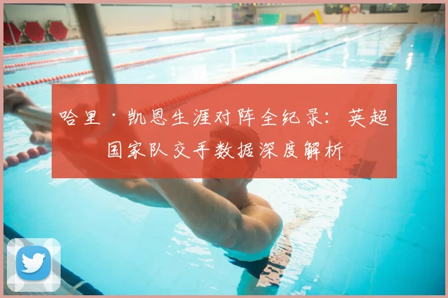 哈里·凯恩生涯对阵全纪录：英超及国家队交手数据深度解析