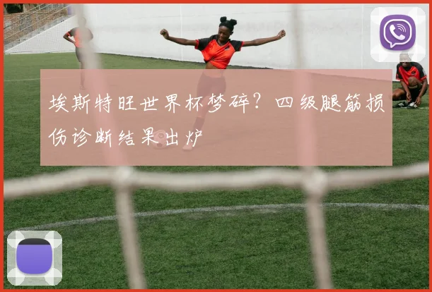 埃斯特旺世界杯梦碎？四级腿筋损伤诊断结果出炉