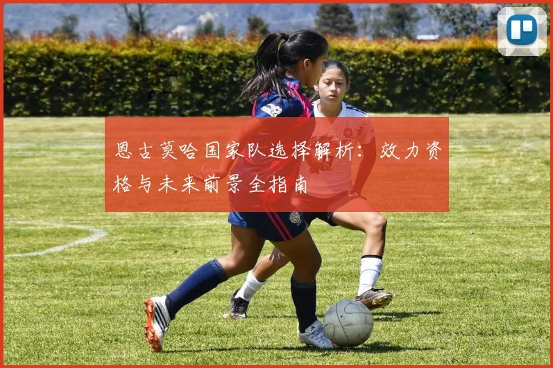 恩古莫哈国家队选择解析：效力资格与未来前景全指南